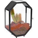 12, 7x6x17, 8cm mini terrarium en verre avec aration et porte pour plantes, araignes sautes, insectes, ...