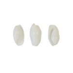 12 coquillages décoratifs blancs 2, 5 x 1, 5 cm 12 coquillages décoratifs blancs 2, 5 x 1, 5 cm