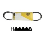 125502810. courroie 1884 h5 poly v faure