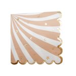 16 serviettes papier doux bebe 33cl camel