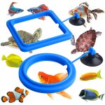 2 pi�ces d'anneaux d'alimentation pour poissons (bleu, rond et carr�), mangeoire pour poissons d'aquarium ...