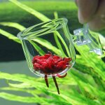2 pi�ces aquarium verre alimentation c�ne tasse plante tasse saumure crevettes vivant rouge ver poisson ...