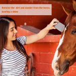 Enl�vement de polis d'animal de compagnie pour elimination de polis de chat outil de pierre ponce outil ...