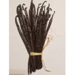 20 gousses de vanille tk 14 / 16 cm de madagascar
