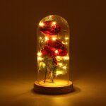 20 led bande de lumi�re et 2 pcs soie artificielle rose avec verre abat - jour bricolage pour home decor ...