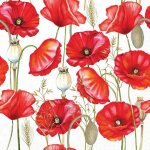 20 serviettes papier coquelicots 33 x 33 cm