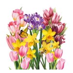 20 serviettes papier jardin printemps 33cm