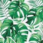 20 serviettes papier monstera jungle tropical 33cm