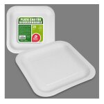 25 assiettes carrees carton bio 20cm blanc