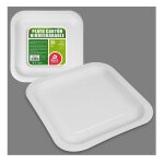 25 assiettes carrees carton bio 23cm blanc