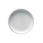25 assiettes plastique reutilisable 25cm blanc