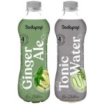 2x sirop sodapop bar edition tonic + gingembre 500ml saturateur 2x sirop sodapop bar edition tonic + gingembre 500ml saturateur