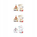 3 x (multi) uk / set pince pour collier pour animaux de compagnie
