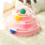 4 - couche chatons divertissement disque plateau tournant chat pour animaux de compagnie iq jouets de ... 4 - couche chatons divertissement disque plateau tournant chat pour animaux de compagnie iq jouets de ...