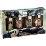 4 verres prparation cocktail ingrdients pour rhums arrangs * contenance : 4000 g * mlanges pour rhums ...