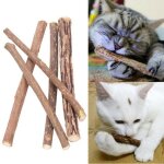5 cure - dents de nettoyage a l'herbe a chat