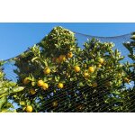 5m x 15m filet anti pigeon, filet anti - oiseaux robuste, filets voliere poulailler, filet de protection ...