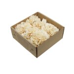 6 fleurs shola dahlia decoratives nature