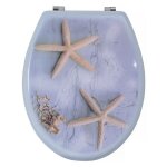 Abattant wc mdf etoile de mer - charni�res inox