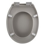 Abattant wc thermo dur neela taupe mat - charni�res abs chrom�