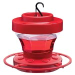 Abreuvoir automatique pour oiseaux, mangeoire pour colibris, distributeur d'eau, bouteille, tasse de ...