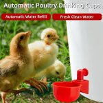 Abreuvoir automatique pour poulet, caille, a suspendre, a boire, mamelon, alimentation des oiseaux, abreuvoir, ...