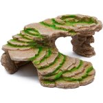 Abri pour tortue terrasse trou de tortue peau decoration aquarium cachette reptile ¿résine bronzage ... Abri pour tortue terrasse trou de tortue peau decoration aquarium cachette reptile ¿résine bronzage ...