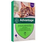 Advantage chat plus de 4 kg