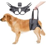 Aide au transport pour chien - harnais de levage pour chien, harnais de soutien rglable pour les pattes ...