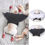 Ailes d'ange et de diable pour chien et chat, dguisement d'halloween, produit pour animaux de compagnie, ...