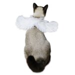 Ailes de chauve - souris du diable pour chien et chat, accessoires de dguisement d'halloween, costume, ...
