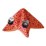 Aire de jeu etoile de mer pour furet