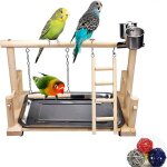 Aire de jeux pour oiseaux, support de jeu pour perroquets, jouets pour oiseaux avec echelle en bois, ...