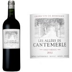 Les alles de cantemerle 2019 haut mdoc - vin rouge de bordeaux