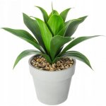 Alo� vera artificiel - hauteur 34 cm - vert
