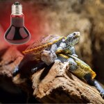 Ampoule chauffante pour veilleuse, lampe de nuit, reptile, tortue, amphibie, e27
