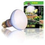 Ampoule daylight basking spot - exo terra - 75w