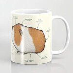 Anatomie d'une tasse a caf� de cochon d'inde 11 oz