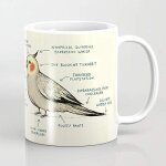 Anatomie d?une tasse a café cockatiel 11 oz Anatomie d?une tasse a café cockatiel 11 oz