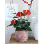 Anthurium plante artificielle rouge en pot h40