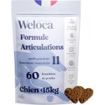 Apt - arthrose chien - 60 bouchées - 11 actifs puissants (glucosamine chondroïtine, msm, moule verte, ... Apt - arthrose chien - 60 bouchées - 11 actifs puissants (glucosamine chondroïtine, msm, moule verte, ...