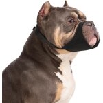 Apt - muselière pour chiens pour pitbull rottweilers american bully bulldog boxers de taille moyenne ... Apt - muselière pour chiens pour pitbull rottweilers american bully bulldog boxers de taille moyenne ...