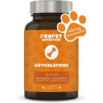 Apt - traitement arthrose chien & chat. comprims 100% naturels. anti inflammatoire chien. glucosamine ...