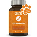 Apt - traitement arthrose chien senior & chat. 180 comprims naturels. anti inflammatoire chien. glucosamine ...