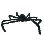 Araign�e g�ante velue