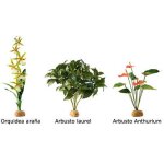 Arbustes en soie: anthurium, laurier et orchide
