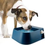 Asfasfq - abreuvoir de chien abreuvoir en bol automatique avec valve a flotteur pour chien cheval btail ...