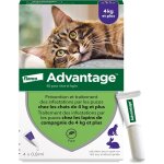 Asfasfq - chat & lapin de plus de 4 kg ¿ pipettes anti puces chat pour prévention des infestations ¿ ... Asfasfq - chat & lapin de plus de 4 kg ¿ pipettes anti puces chat pour prévention des infestations ¿ ...