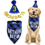 Asfasfq - cobee lot de 10 bandanas d'anniversaire pour chien et garon avec 8 paillettes pour chiens ...