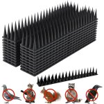 Asfasfq - cuvzora lot de 12 pics anti - pigeons en plastique - 6 m - pour pigeons, chat, martre, clture, ...